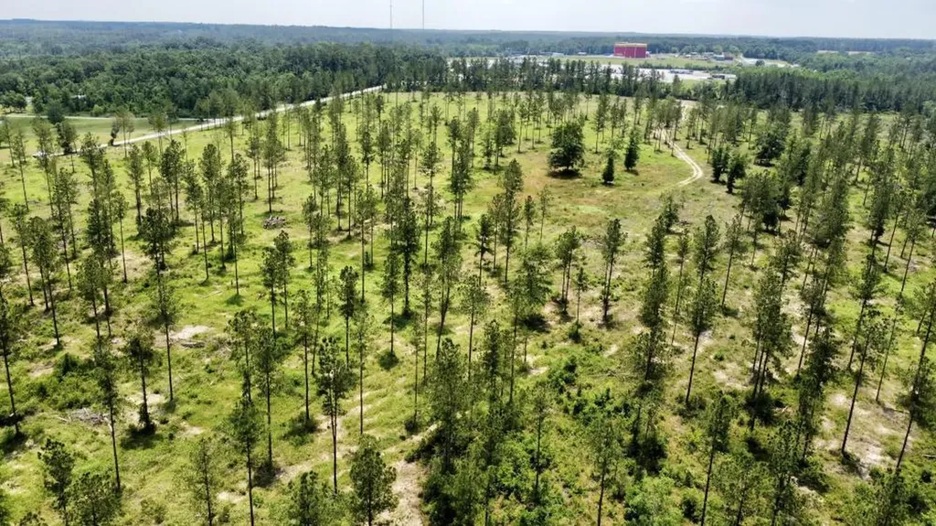 0 County Road 64 Robertsdale AL 36567