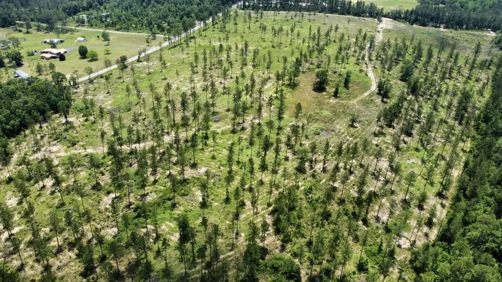 0 County Road 64 Robertsdale AL 36567