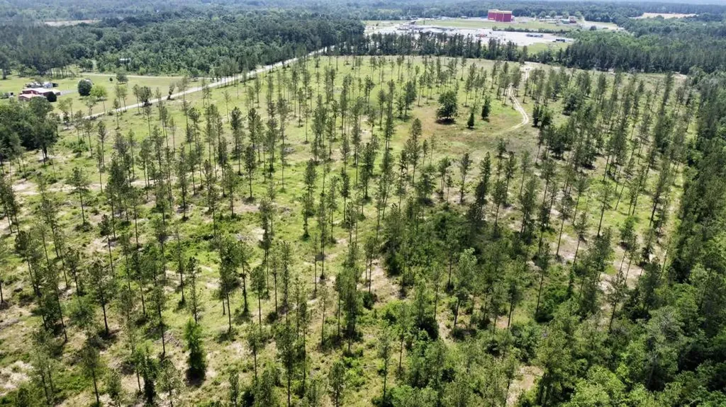 0 County Road 64 Robertsdale AL 36567