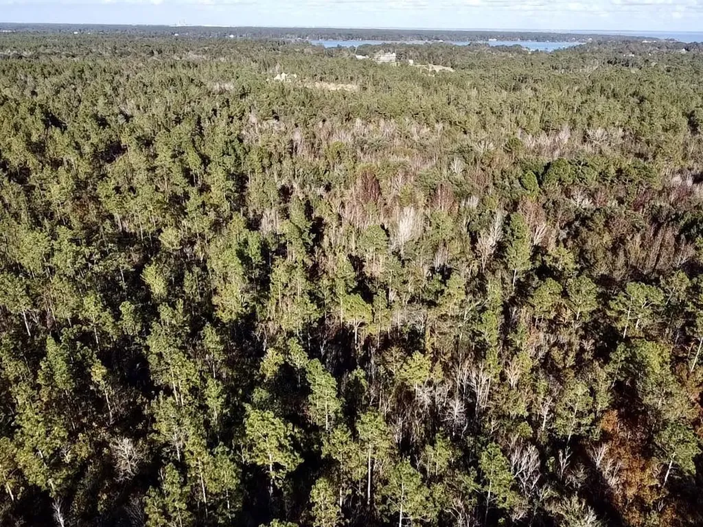 0 Dog River Road Theodore AL 36582