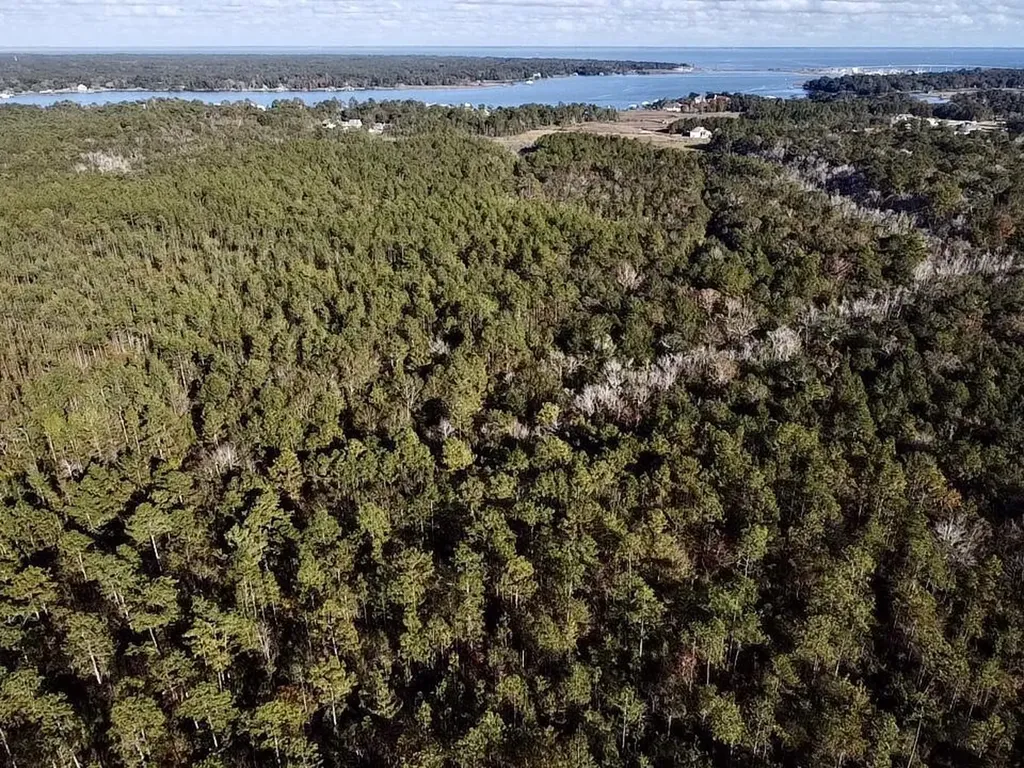 0 Dog River Road Theodore AL 36582