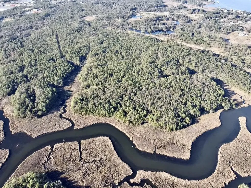 0 Dog River Road Theodore AL 36582