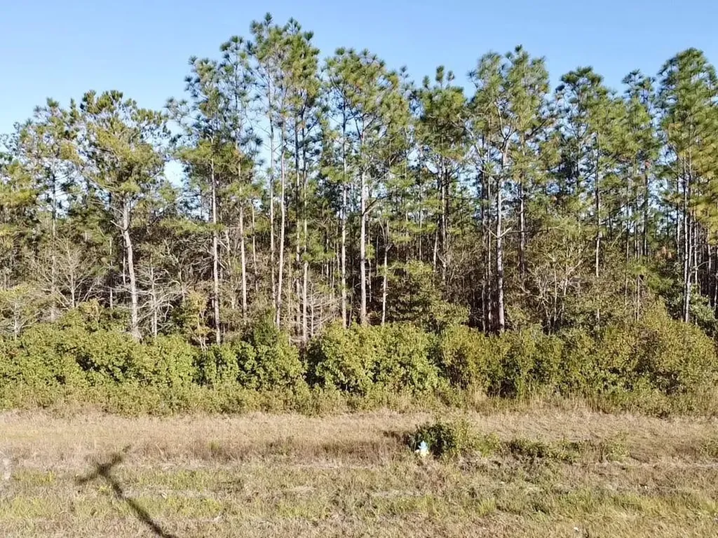 0 Dog River Road Theodore AL 36582