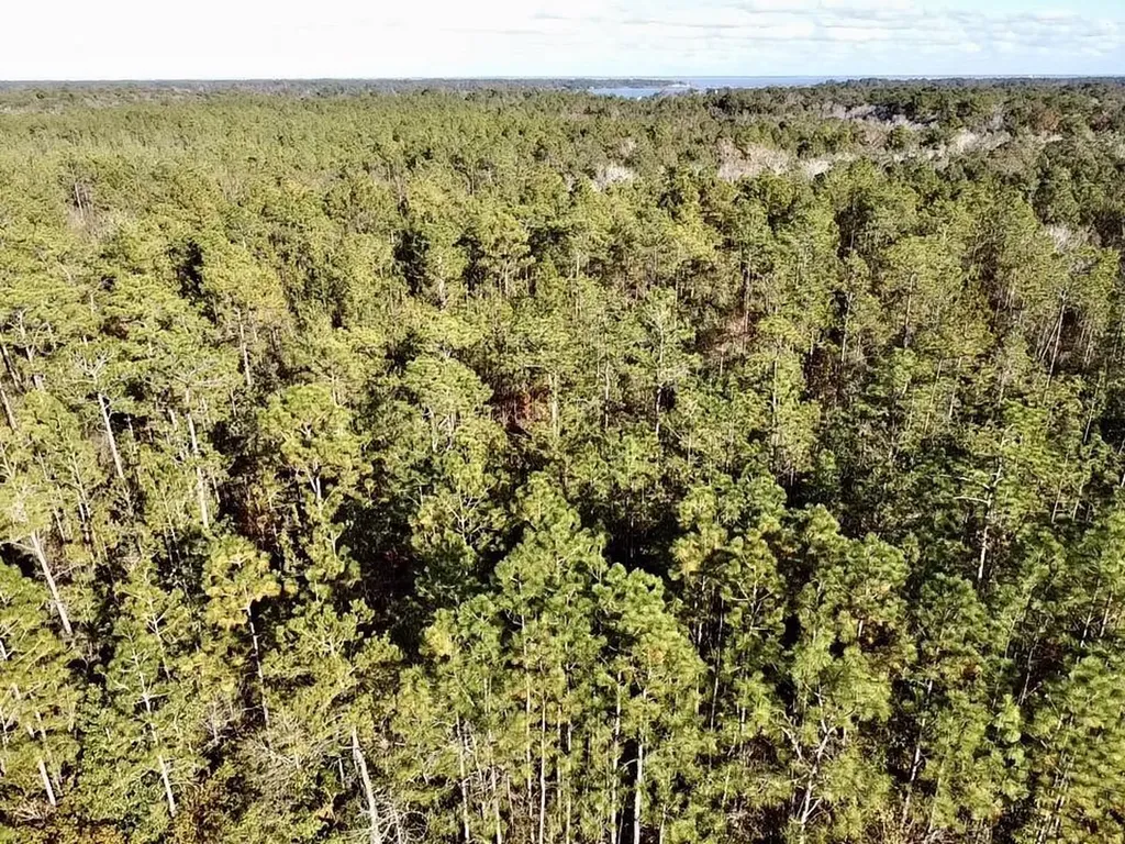 0 Dog River Road Theodore AL 36582