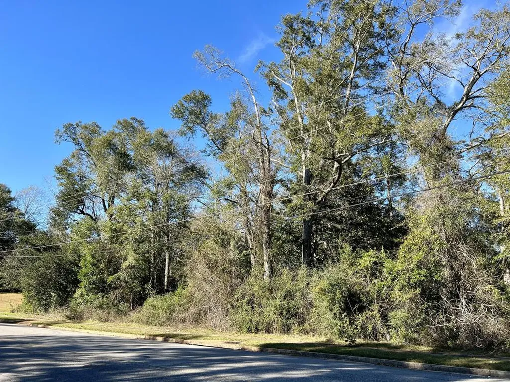 7940 Lebaron Avenue Citronelle AL 36522
