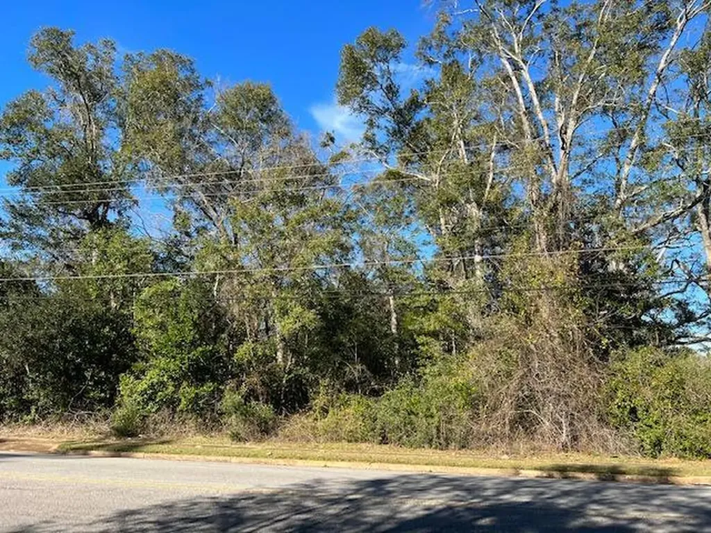 7940 Lebaron Avenue Citronelle AL 36522