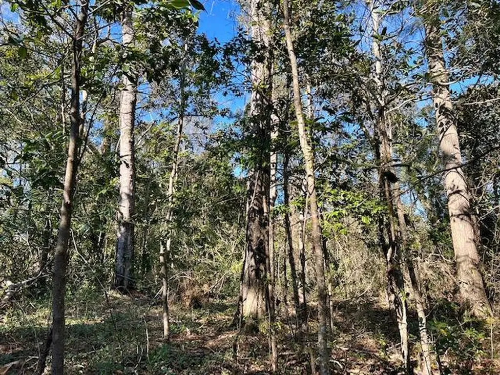 7940 Lebaron Avenue Citronelle AL 36522