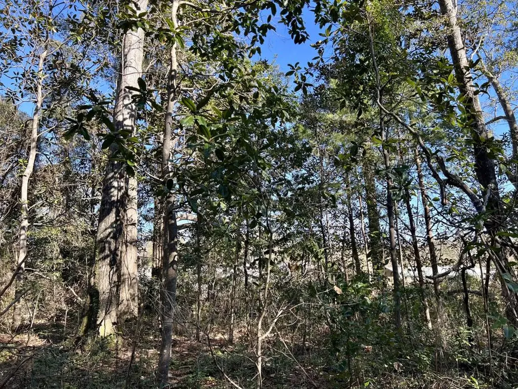 7940 Lebaron Avenue Citronelle AL 36522