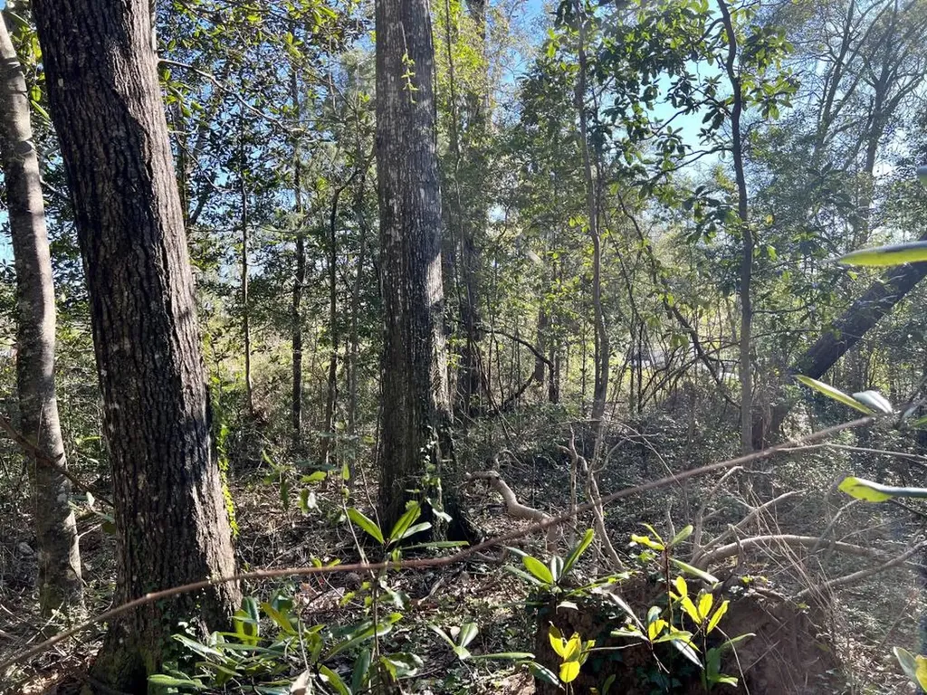 7940 Lebaron Avenue Citronelle AL 36522