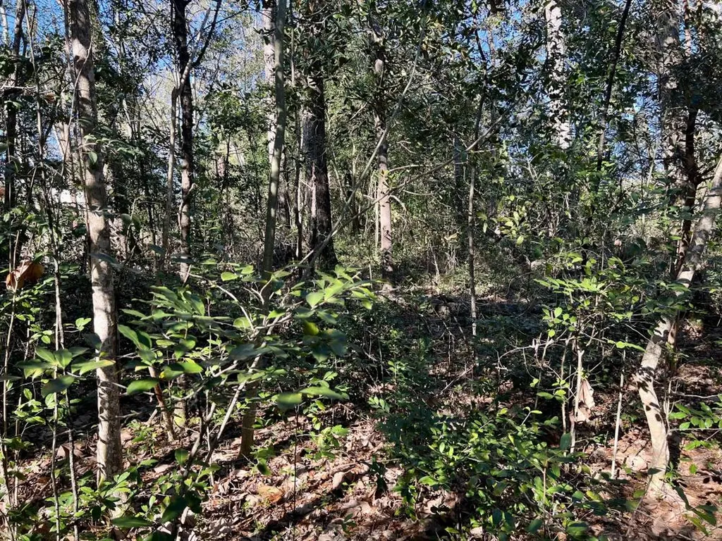 7940 Lebaron Avenue Citronelle AL 36522