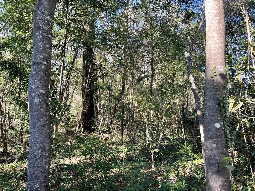 7940 Lebaron Avenue Citronelle AL 36522