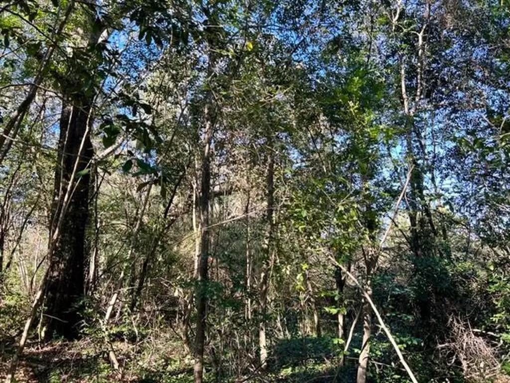 7940 Lebaron Avenue Citronelle AL 36522