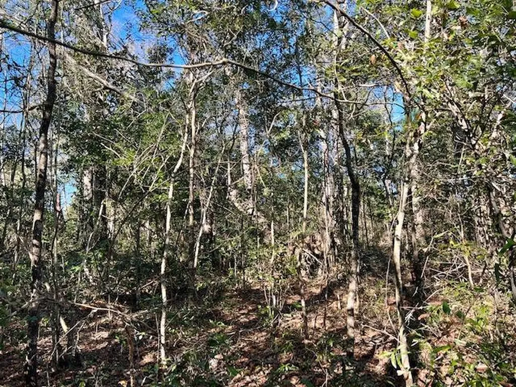 7940 Lebaron Avenue Citronelle AL 36522