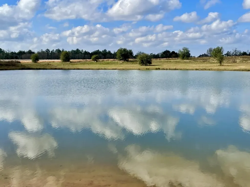 0 Cr 64 Daphne AL 36551