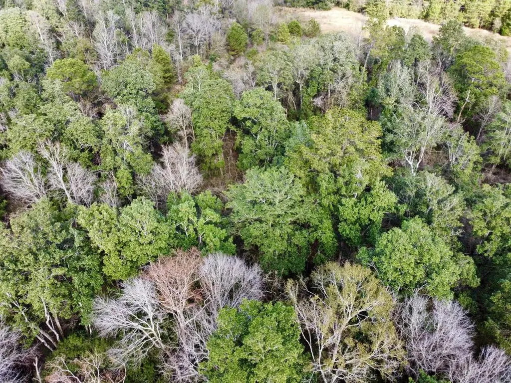 0 Cr 64 Daphne AL 36551