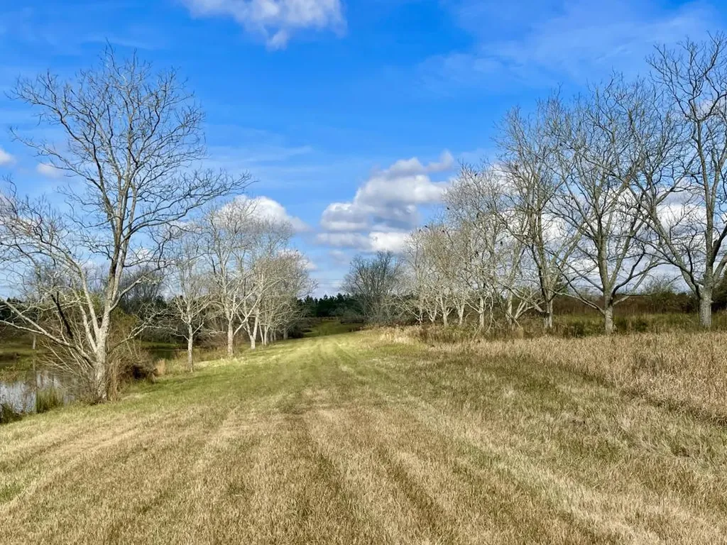 0 Cr 64 Daphne AL 36551