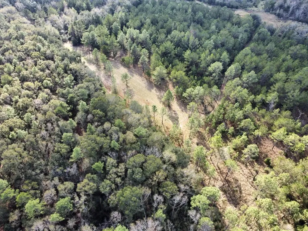 0 Cr 64 Daphne AL 36551