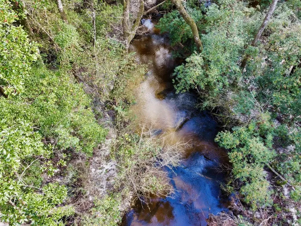 0 Cr 64 Daphne AL 36551