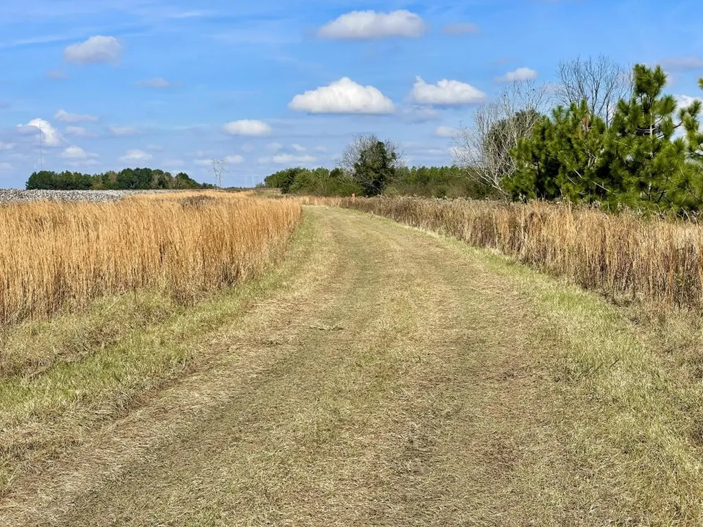 0 Cr 64 Daphne AL 36551