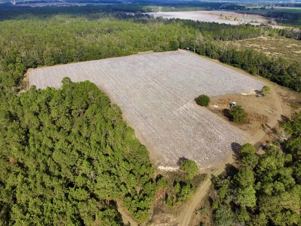 0 Cr 64 Daphne AL 36551