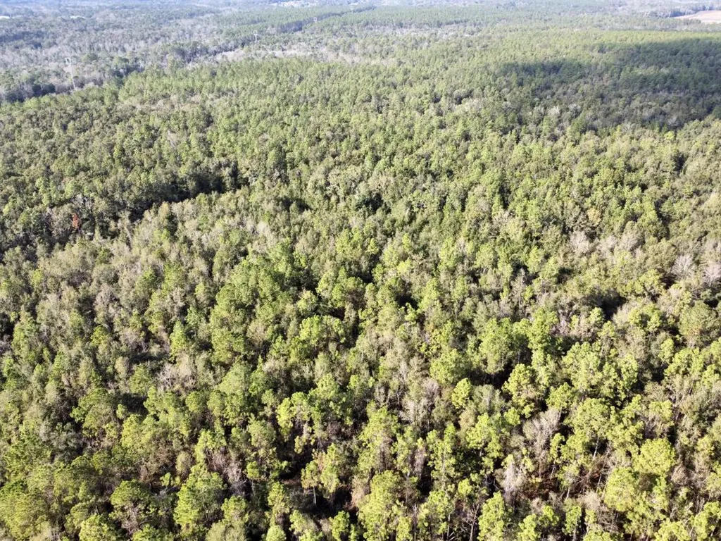 0 Cr 64 Daphne AL 36551