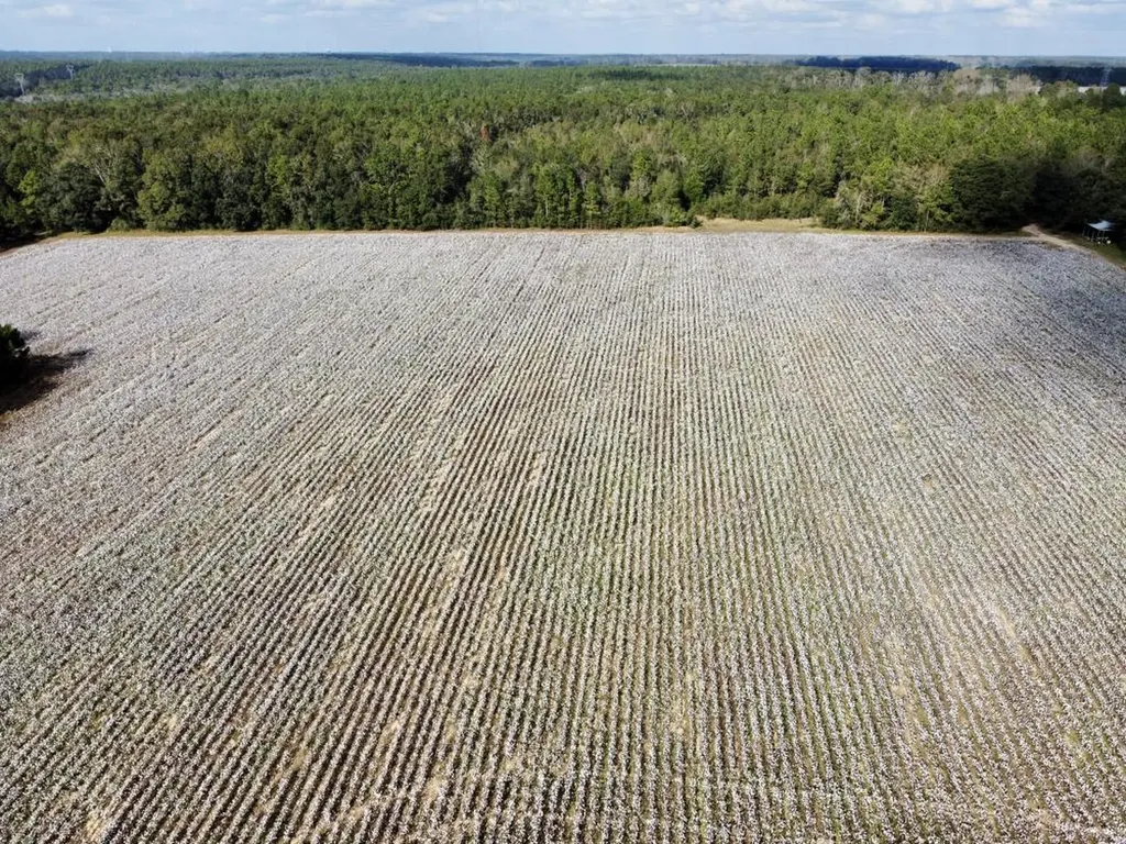 0 Cr 64 Daphne AL 36551