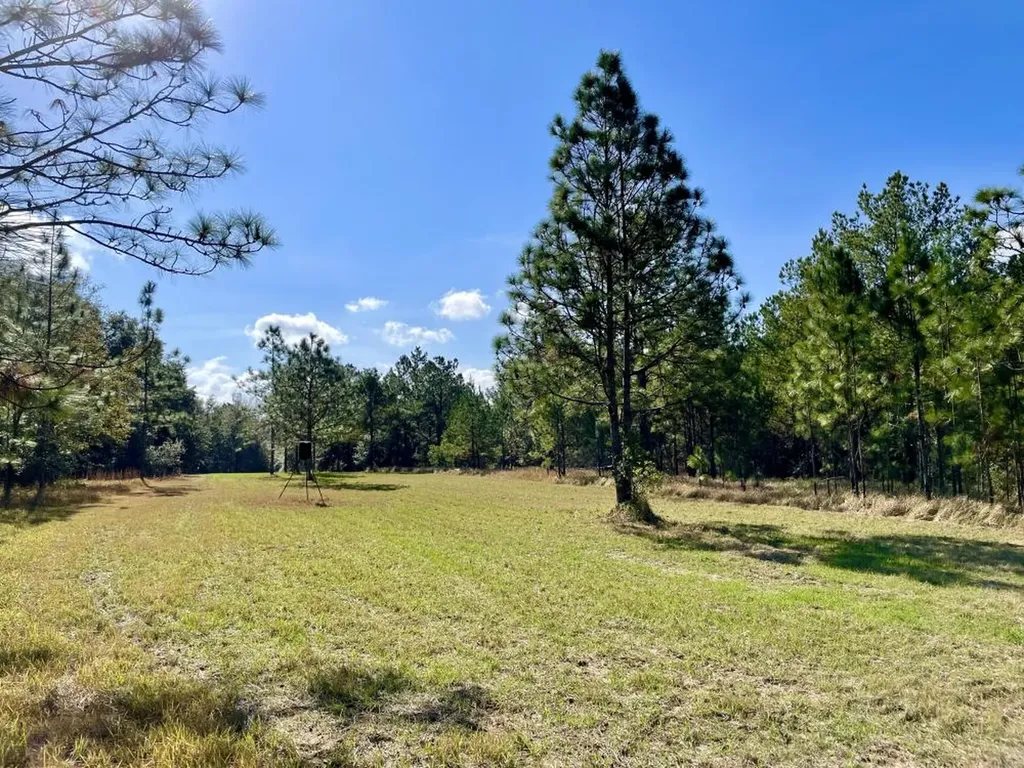 0 Cr 64 Daphne AL 36551