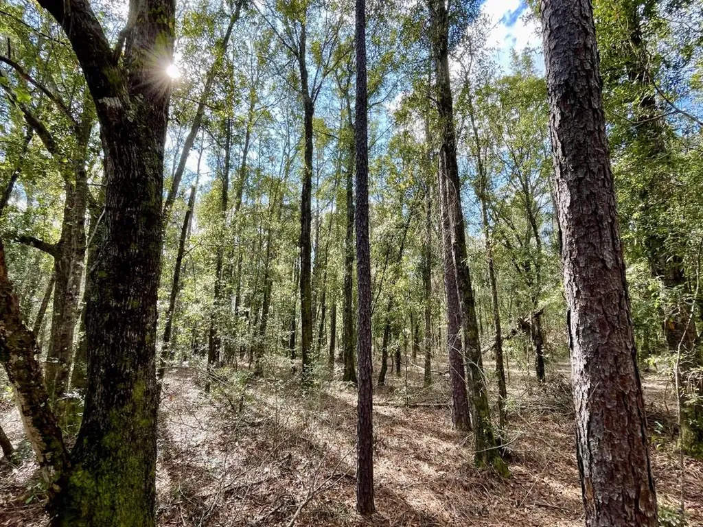 0 Cr 64 Daphne AL 36551