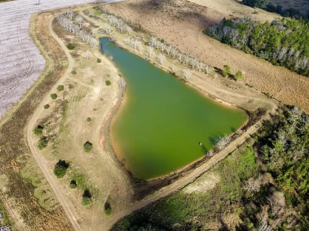 0 Cr 64 Daphne AL 36551