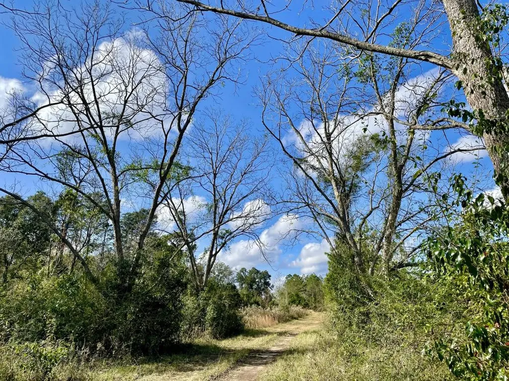 0 Cr 64 Daphne AL 36551