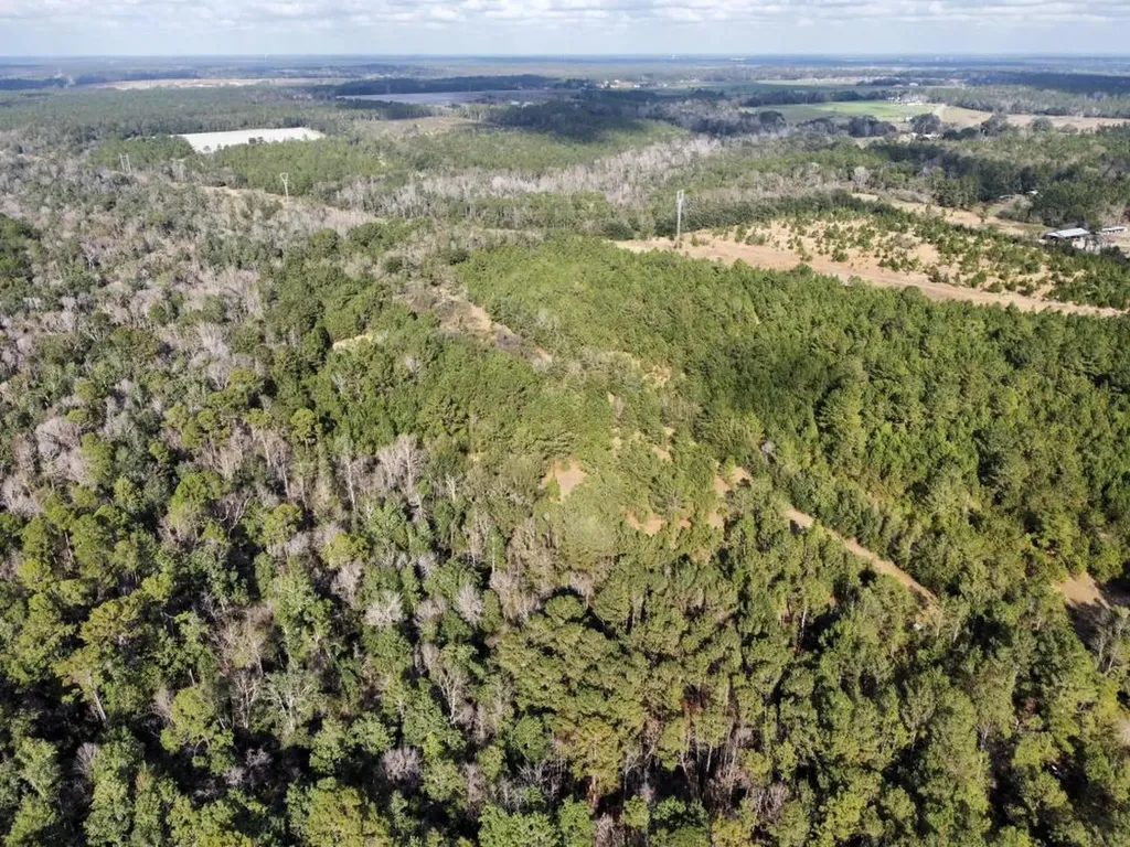 0 Cr 64 Daphne AL 36551