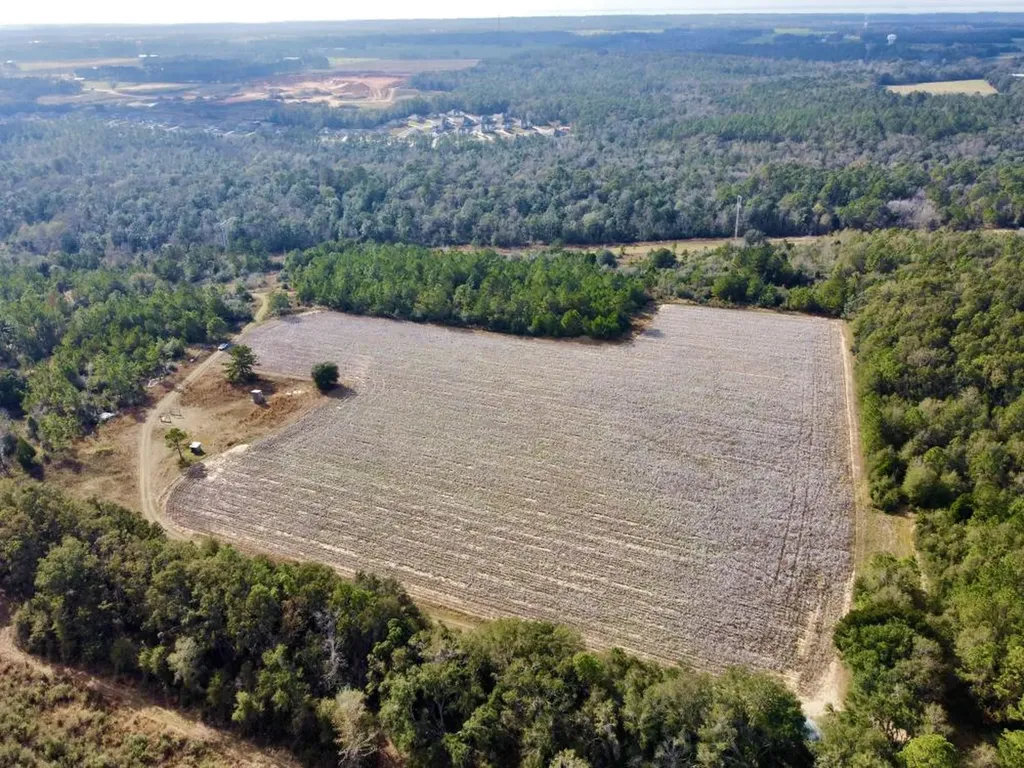 0 Cr 64 Daphne AL 36551