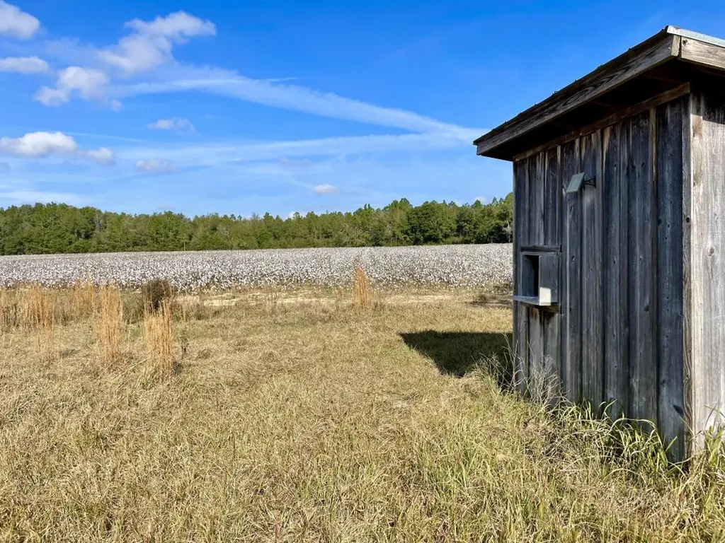 0 Cr 64 Daphne AL 36551