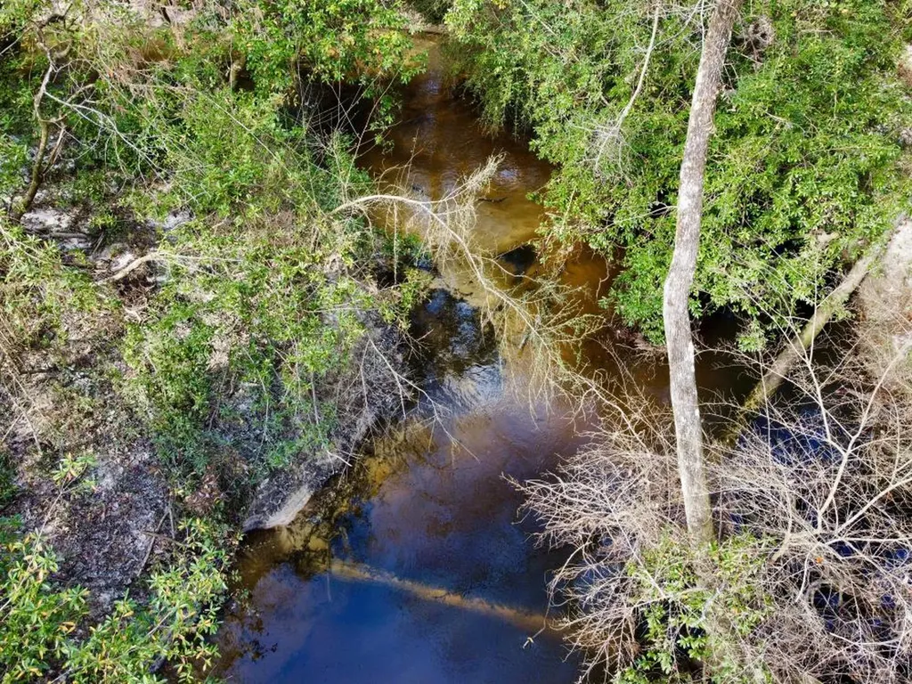 0 Cr 64 Daphne AL 36551