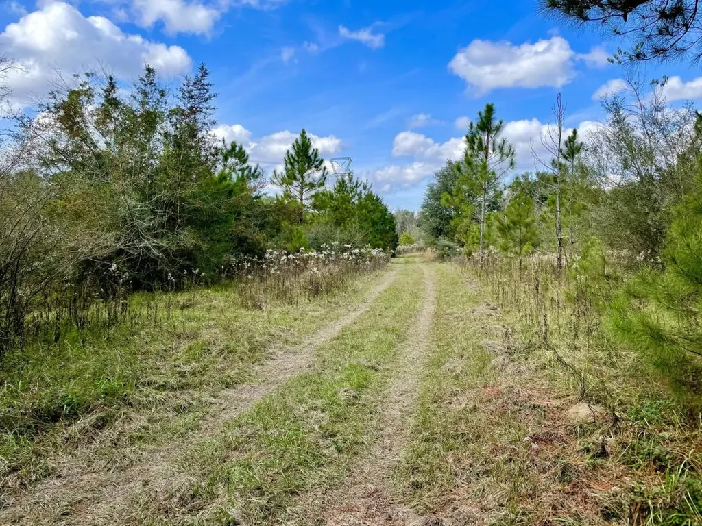 0 Cr 64 Daphne AL 36551