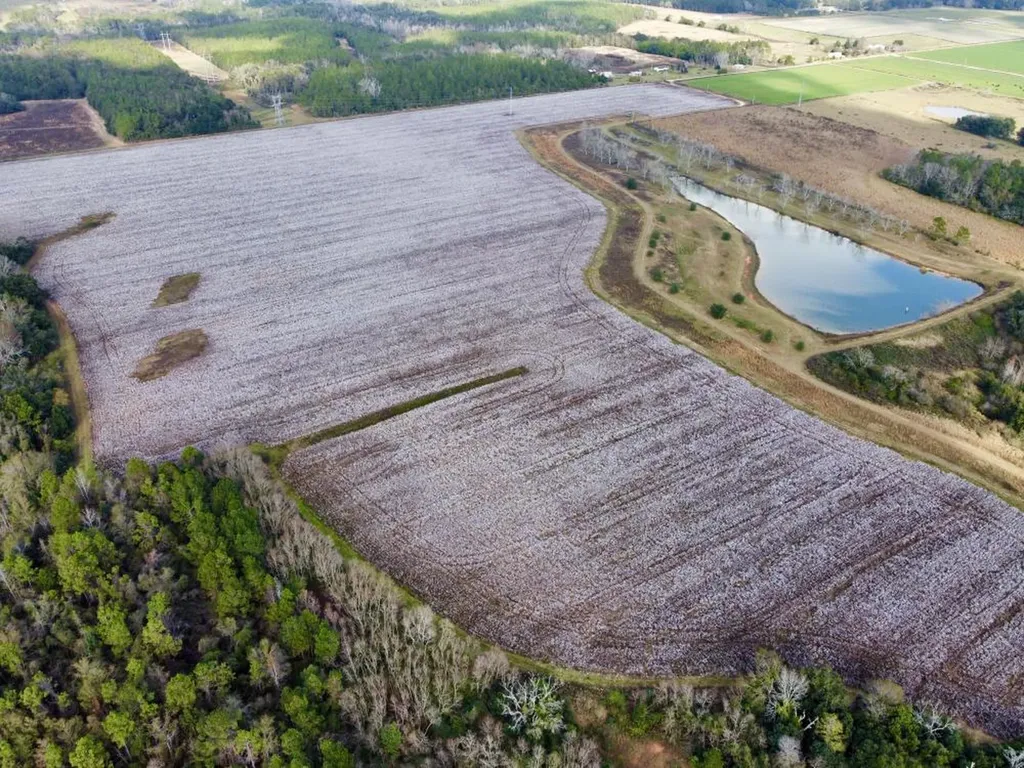 0 Cr 64 Daphne AL 36551