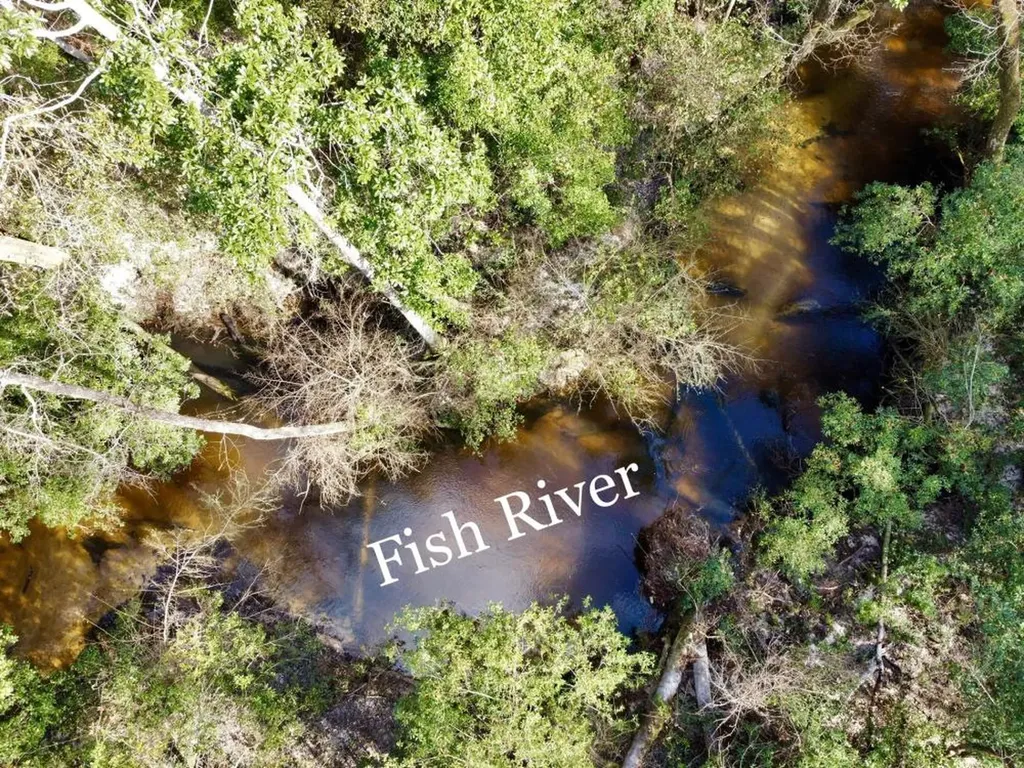 0 Cr 64 Daphne AL 36551