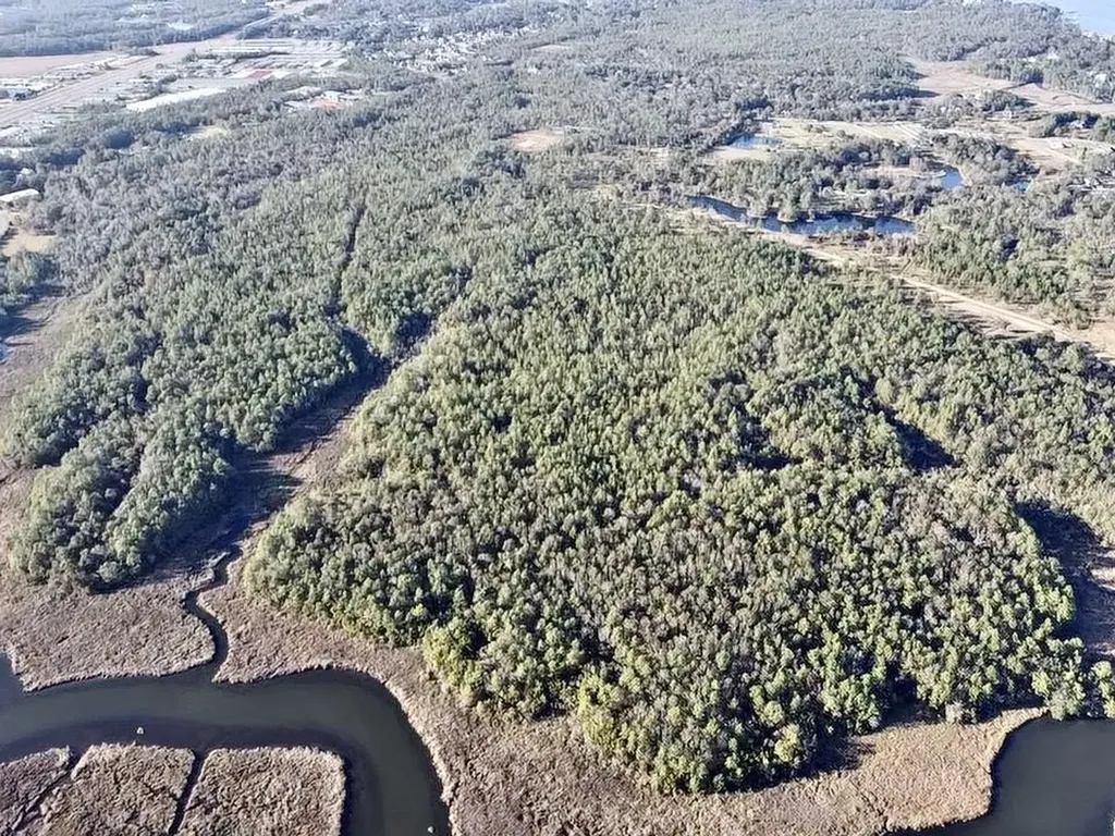 0 Dog River Road Theodore AL 36582