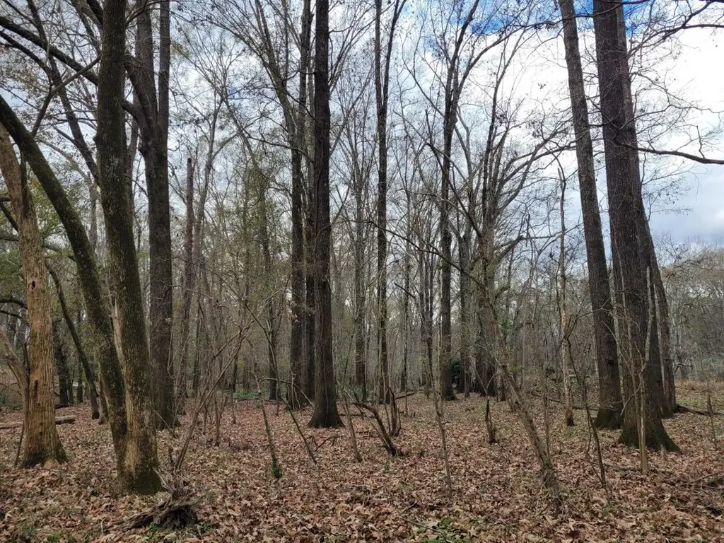 0 River Road Montgomery AL 36113