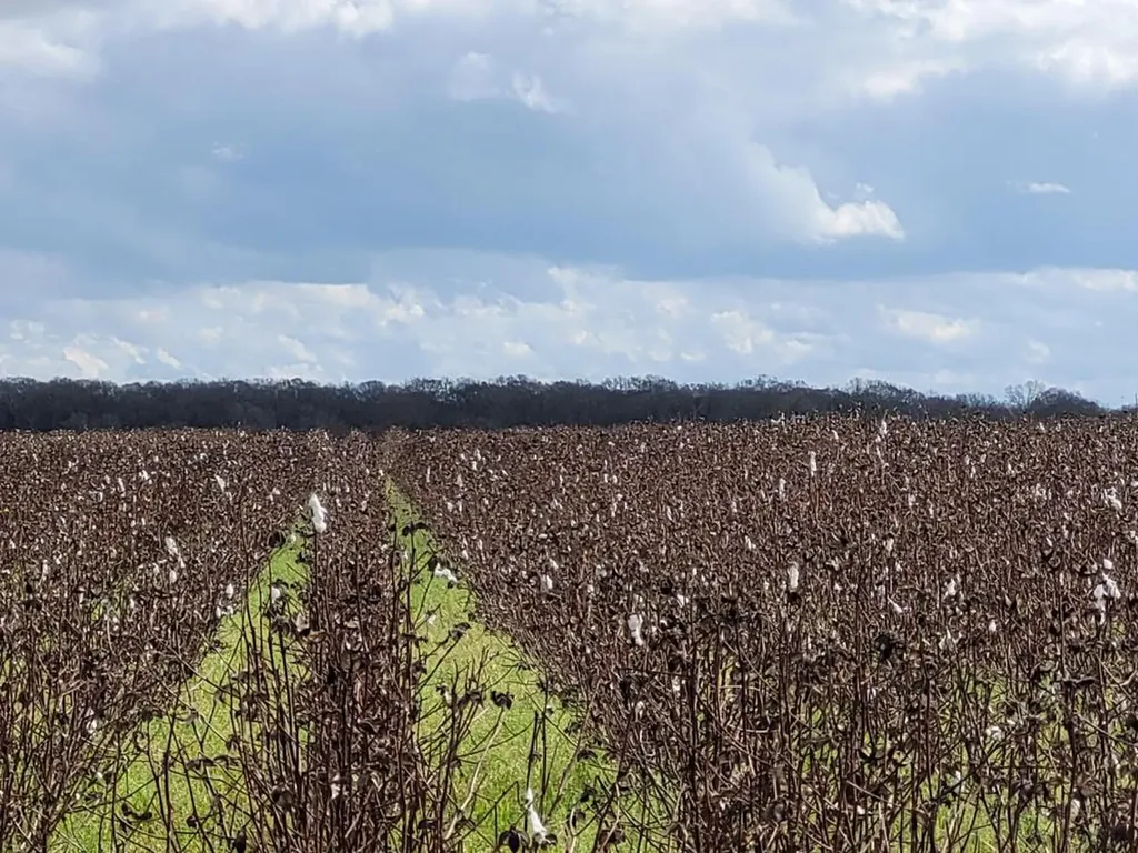 0 River Road Montgomery AL 36113