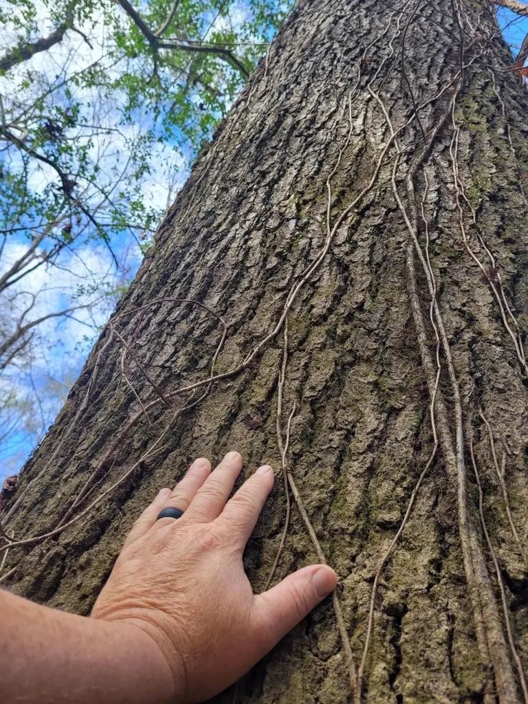 0 River Road Montgomery AL 36113