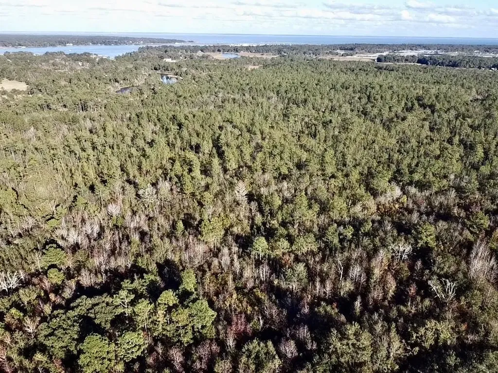 0 Dog River Road Theodore AL 36582