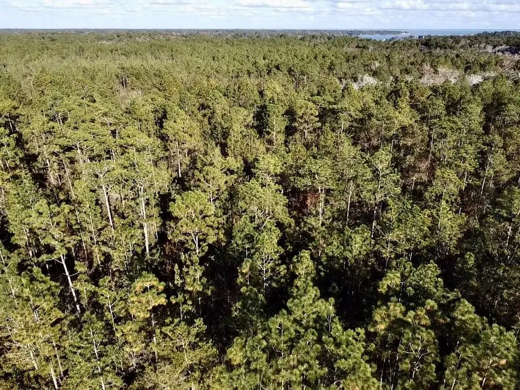 0 Dog River Road Theodore AL 36582