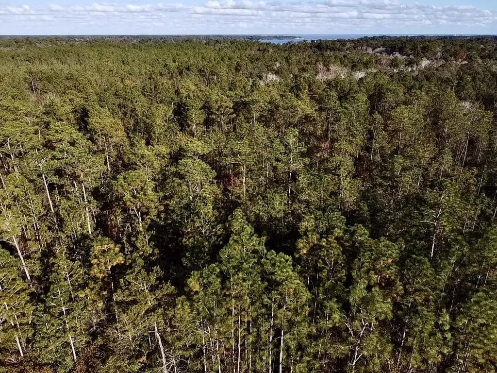 0 Dog River Road Theodore AL 36582