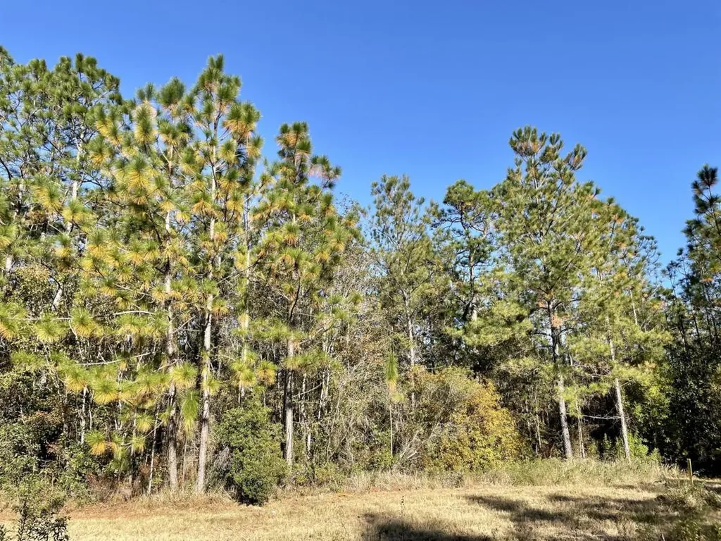 0 Dog River Road Theodore AL 36582