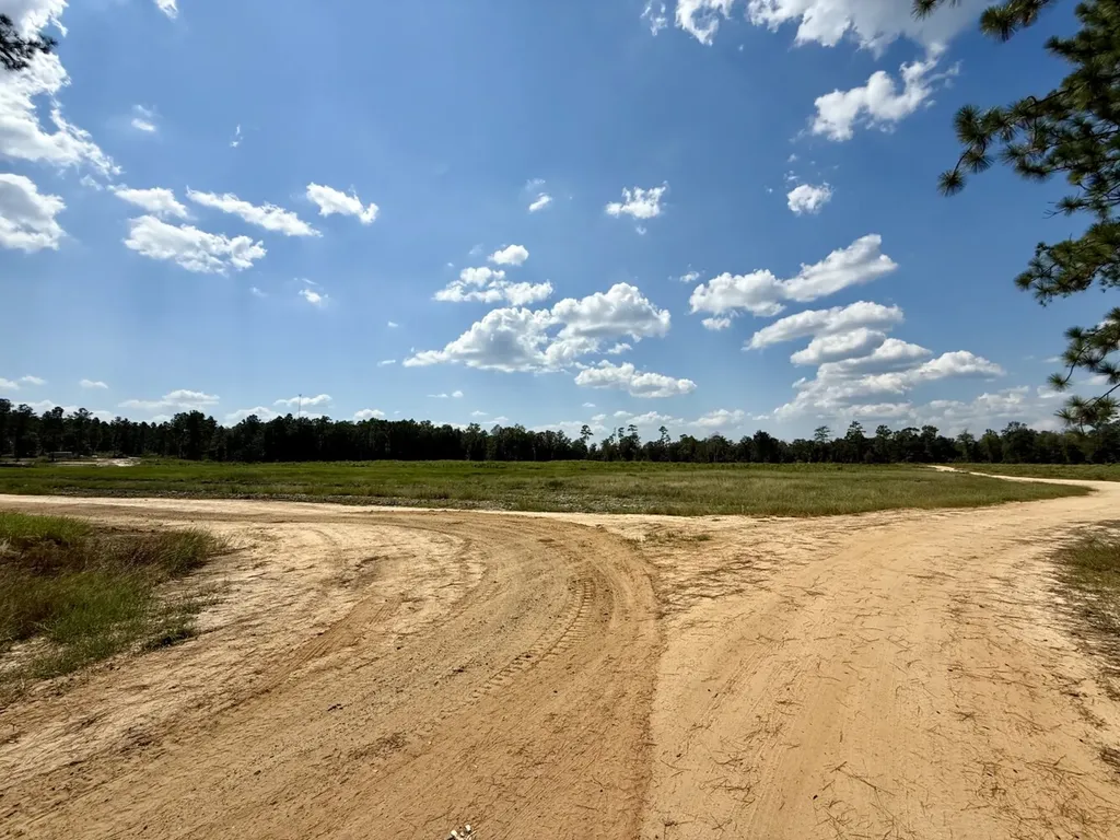 0 County Road 64 Robertsdale AL 36507