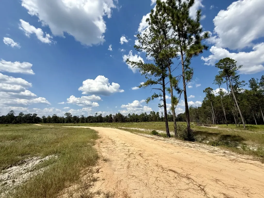 0 County Road 64 Robertsdale AL 36507