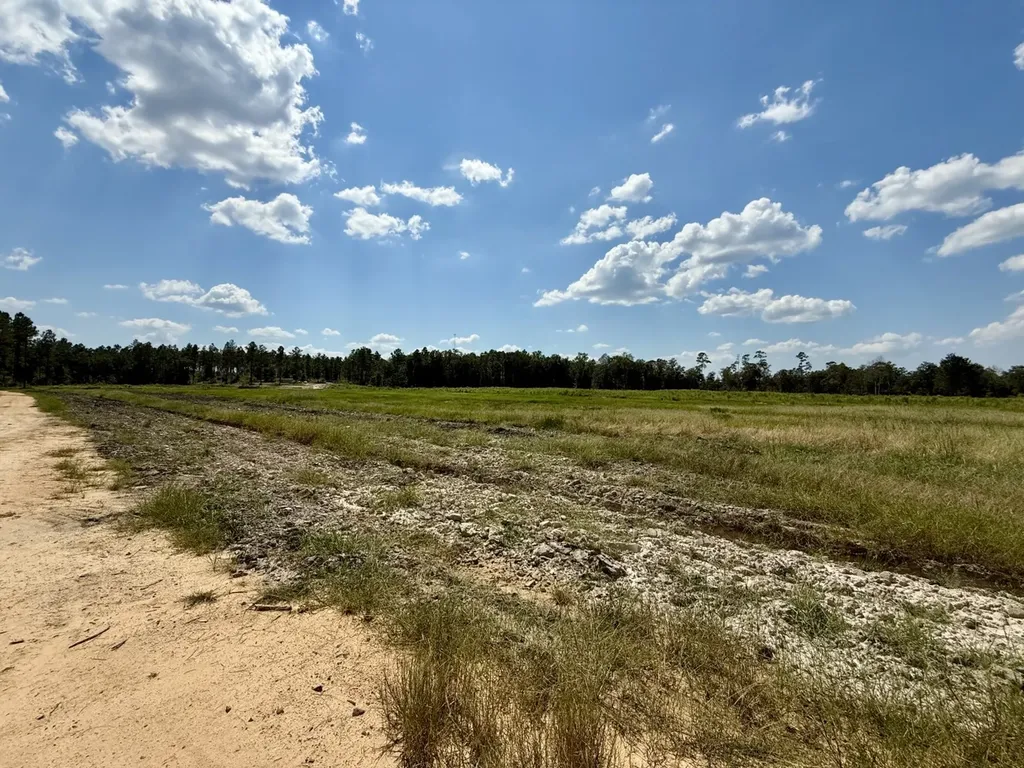 0 County Road 64 Robertsdale AL 36507