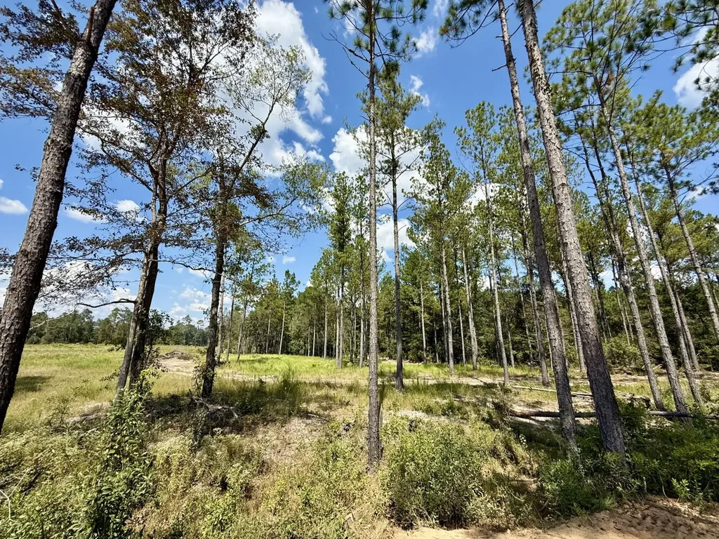 0 County Road 64 Robertsdale AL 36507