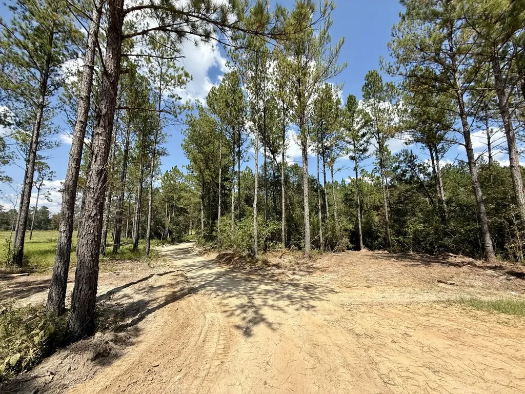 0 County Road 64 Robertsdale AL 36507